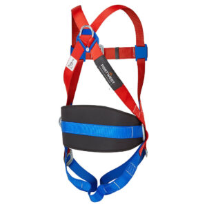 Full 3 Point Body Harness