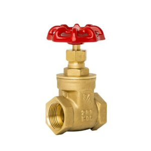 Brass Gate Valve 3/4"