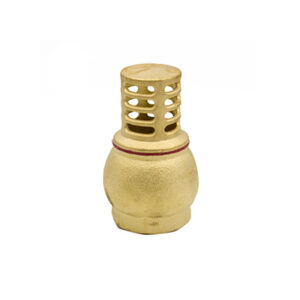 Foot Valve Brass 1"