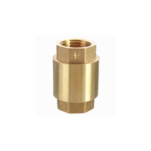 Non-return Check Valve Brass 1"