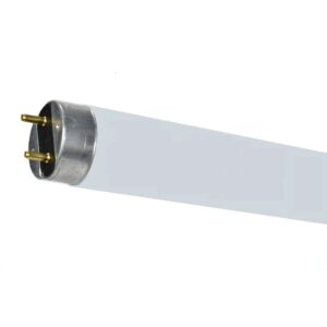 Fluorescent Tube T8 Thin Daylight